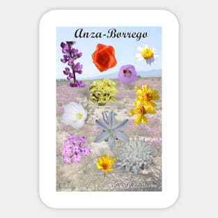 Anza-Borrego Desert Wildflowers Sticker